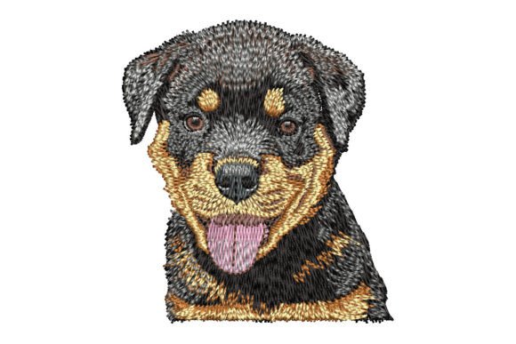 Rottweiler Puppy Embroidery Design